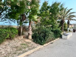 la casetta tra laguna e mare Poetto img64