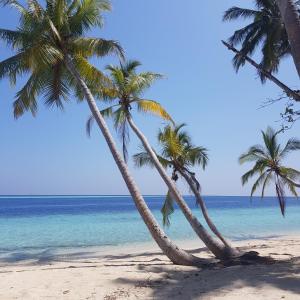Vaali Maldives Island Escapes & Dive
