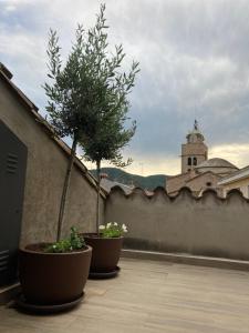 Apartamento céntrico con WIFI y climatizado de 1 habitación y sofá-cama para 3 personas