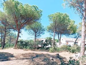 Purple House - Arboriamar Platamona img43