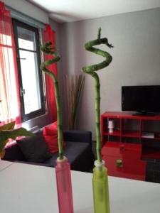 LE LOGIS LE PIC DU MIDI et LE LOGIS LE COL DASPIN