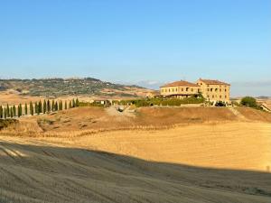 Podere Le Volpaie - Arancia