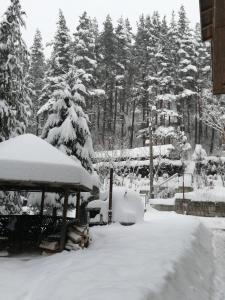 Вила Добро поле