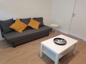 Belle Maison 12p 6 couchages TOURS CENTRE avec jardin