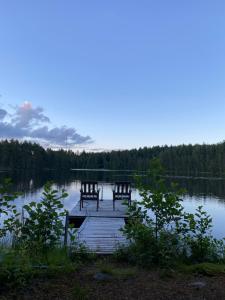 A Unique cottage with sauna in a pine forest