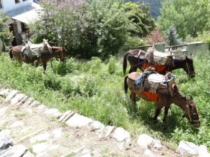 Archontiko Koilia Pelion Greece