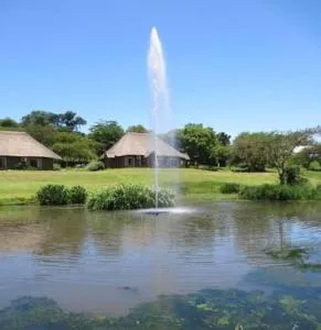 Ascot Bush Lodge - Pietermaritzburg