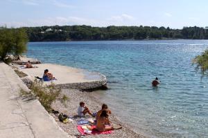 Apartments by the sea Milna, Brac - 5242