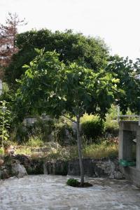 Apartment Jezera 5109b