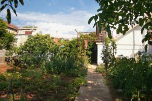 Apartment Jezera 5093a