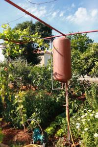 Apartment Jezera 5093a