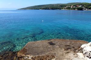 Seaside luxury villa with a swimming pool Sumartin, Brac - 5639