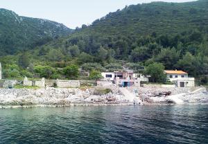 Seaside secluded apartments Cove Virak, Hvar - 6969