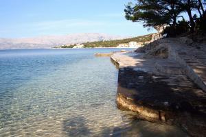 Apartments by the sea Povlja, Brac - 716