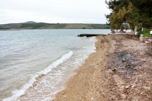 Apartments by the sea Posedarje, Novigrad - 6190