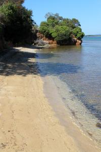 Apartment Tkon 8377a