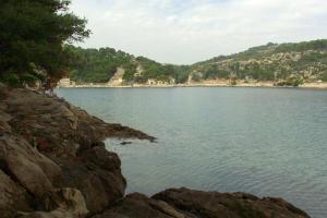 Seaside family friendly house with a swimming pool Puntinak, Brac - 767