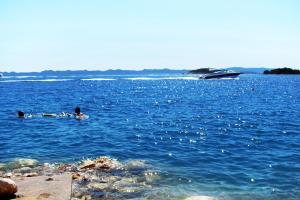 Apartments by the sea Zdrelac, Pasman - 11260