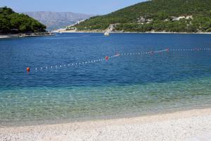 Apartments by the sea Pucisca, Brac - 11263