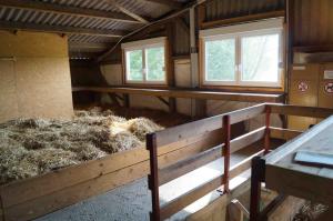 Single Bed in Mixed Dormitory Room room in Bolderhof