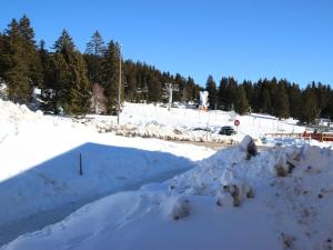 Appartement 2 pièces proche pistes pour 4 personnes, animaux admis - FR-1-549-98