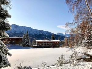 Appartement 2 pièces proche pistes pour 4 personnes, animaux admis - FR-1-549-98