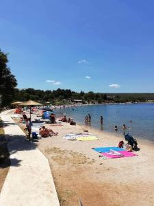 Apartments by the sea Gornji Karin, Novigrad - 11806