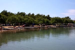 Apartments with a parking space Murter - 12299