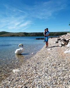 Apartments by the sea Posedarje, Novigrad - 12402