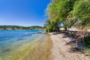 Apartments by the sea Zdrelac, Pasman - 12662