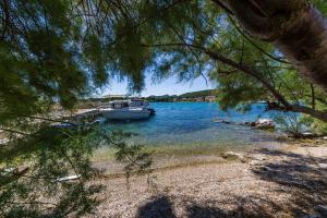 Apartments by the sea Zdrelac, Pasman - 12662