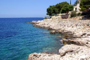 Apartments by the sea Bilo, Primosten - 4208