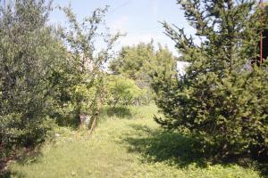 Apartment Murter 5122d