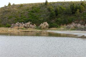 Family friendly house with a swimming pool Posedarje, Novigrad - 15785 