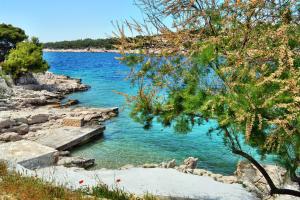 Apartments by the sea Bilo, Primosten - 4191 