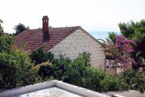 Apartments by the sea Sumartin, Brac - 4803