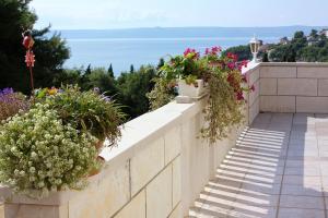 Apartments by the sea Sumartin, Brac - 4803