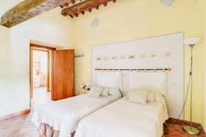 Allegro Agriturismo Argiano