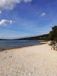 Apartments by the sea Gornji Karin, Novigrad - 16716