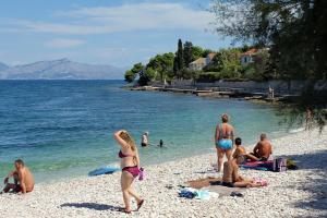 Family friendly apartments with a swimming pool Sutivan, Brac - 16593