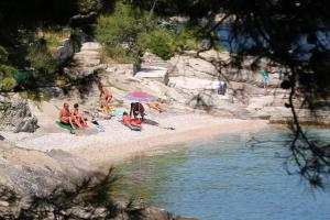 Apartments by the sea Puntinak, Brac - 766