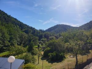 Maisons de vacances Au nid de la foret : photos des chambres