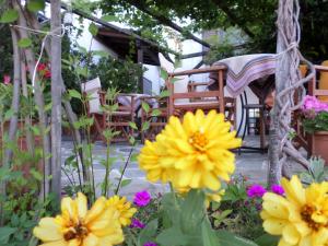 Vera's Traditional House Pelion Greece