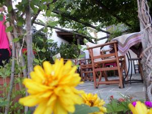 Vera's Traditional House Pelion Greece