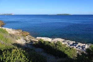 Apartments by the sea Milna, Vis - 8917