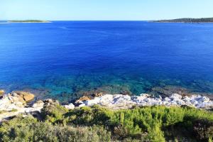 Apartments by the sea Milna, Vis - 8917