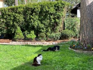 Уютный домик в дзинтари