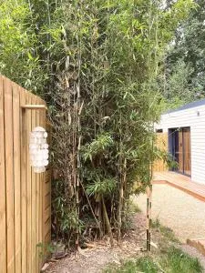 Bamboo & Spa - Saint-Maudez