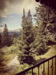 Sky view Ranca-Transalpina