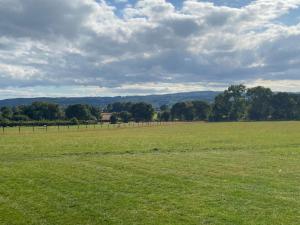 Vale View Glamping